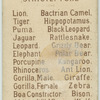 Rhinoceros.