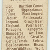 Tiger.