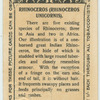 Rhinoceros.