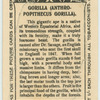 Gorilla.