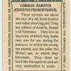 Common Hamster.