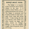 Badger.