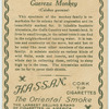 Guereza Monkey.