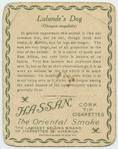 Lalande's Dog.