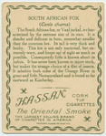 South African Fox.