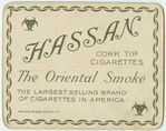 African Wild Ass.