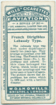 French dirigible Lebaudy type.