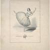 Adelaide Frassi.