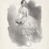Fanny Cerrito nel ballo La Silfide di Cortesi, al signor Bartolomeo Merelli che diede occasione ai Milanesi di ammirare sulle scene del gran Teatro della Scala, l'esimia artista, l'autore Roberto Focosi D. D. D.