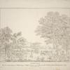 Giardino reale.  Questa scena fu dipinta pel ballo mitologico Dedalo, inventato e posto sulle scene dell'I. R. Teatro alla Scala dal Sig. Salvatore Viganò, il carnevale dell'anno 1818. A. Sanquirico inv. e dip. Carol. Luose inc.