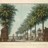 Orti pensili con bagni in Memfi. Questa scena fu eseguita pel ballo tragico Psammi, inventato dal Sig. Salvatore Viganò, l'autunno dell'anno 1817, per l'I. R. Teatro alla Scala. A. Sanquirico inv. e dip.  G. Durelli inc. i contor. Carolina Luose C.A.T.