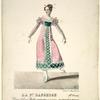 La pre. danseuse (Mlle Fanny) dans Clary, ballet pantomime en 3 actes.