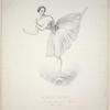 Melle Melina Marmet danzava nel Teatro Filarmonico in Verona l'anno 1850.