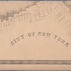 Plan of the city of Brooklyn, L.I.