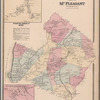 Plate 48: Town of Mt. Pleasant, Westchester Co. N.Y.