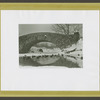 Central Park - Pond in winter, ducks in foreground.