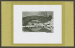 Central Park - Pond in winter, ducks in foreground.