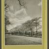 Central Park - bridal path.