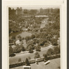Central Park. Looking across Central Park from Fifth Ave.