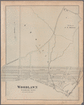 Plate 81: Woodlawn, Westchester Co. N.Y.