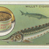 Do you know what caviar is?