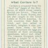 Do you know what caviar is?
