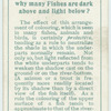 Do you know why many fishes are dark above and light below?