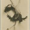 Tamara Karsavina