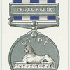Egypt medal, 1882.