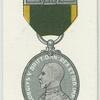 Territorial Efficiency medal.