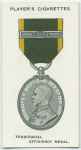 Territorial Efficiency medal.