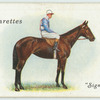 "Signorinetta" Derby, 1908.