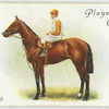 "Lemberg" Derby, 1910.