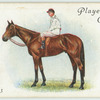 "Aboyeur" Derby, 1913.