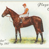 "Gay Crusader" Derby, 1917.