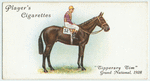 "Tipperary Tim" Grand National, 1928.