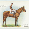 "Shaun Goilin" Grand National, 1930.