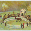 Horse in circular enclosure