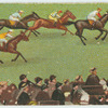 Horses on racetrack