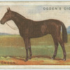 "John o'London".