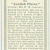 "Kenthis Plover".