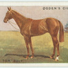 "Leighon Tor" colt.