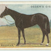 "Logie o'Buchan".