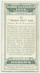 "Market Girl" colt.