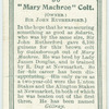 "Mary Machree" colt.