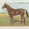 "Potocki".