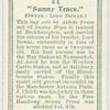 "Sunny Trace".