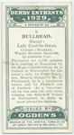 Bullhead.