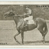 Derby Dilly.