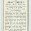 Glastonbury.